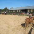 Ponykamp 2013 (deel 2)